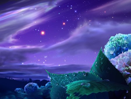 Сказочных сновидений