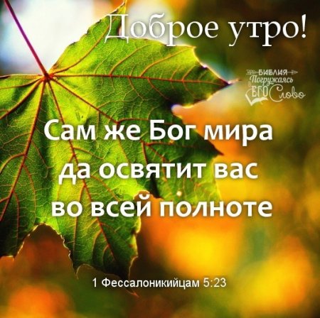 Христианские пожелания с добрым утром с Цитатами из Библии