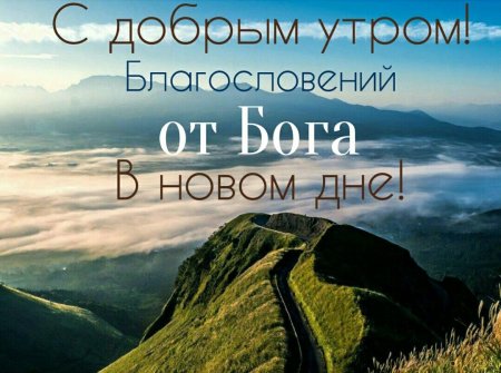 Доброе утро дог