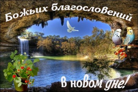 Доброе утро благословенного дня