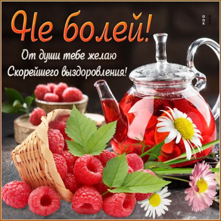 Выздоравливайте пожалуйста