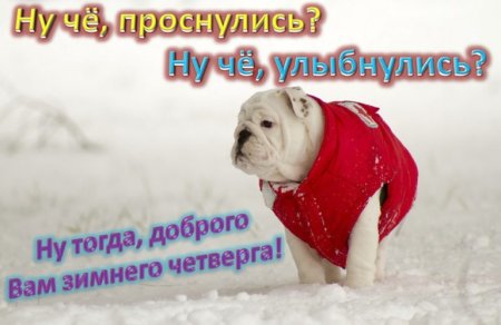 Доброе зимнее утро че тверна