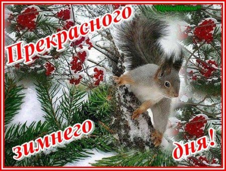 Прекрасного зимнего четверга