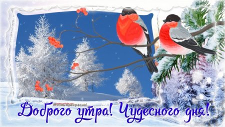 Доброе зимнее утро чудесного дня