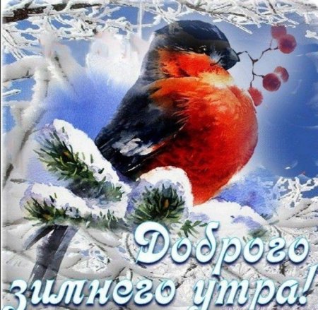 С добрым зимним утром четверга