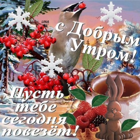 Доброго дня здоровья и благополучия зимние
