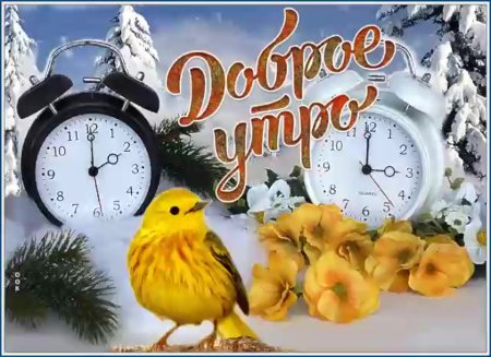Доброго зимнего утра и дня четверга