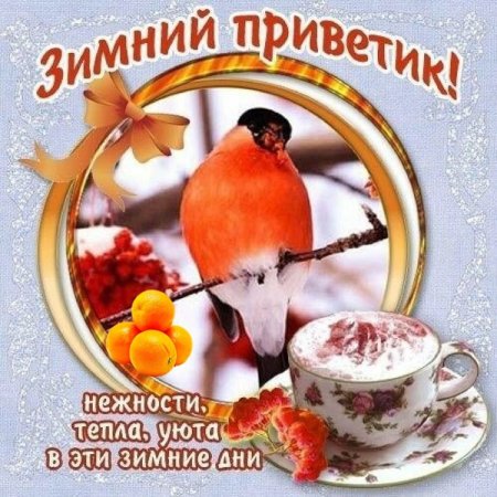 Теплые зимние пожелания доброго утра и дня