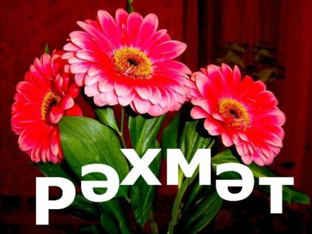 Поблагодарить на татарском языке