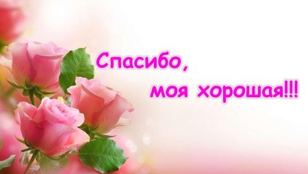 Спасибо за поздравления на татарском языке