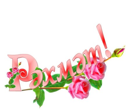 Стикеры для ватсап рәхмәт