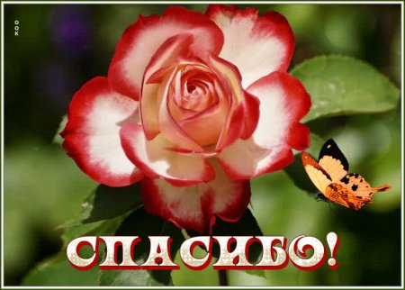 Спасибо от души открытки