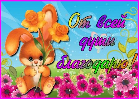 Благодарю от всей души