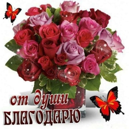 От души благодарю