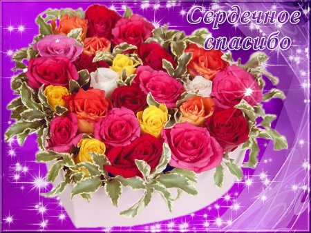 Спасибо от всего сердца