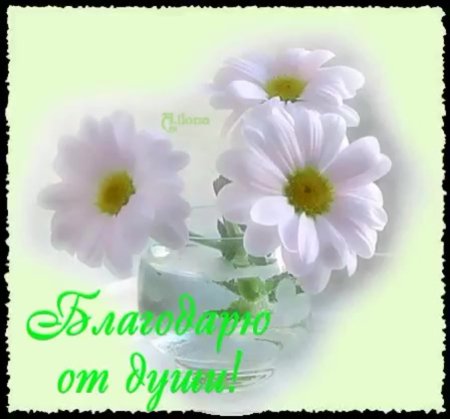 Открытка благодарю от души