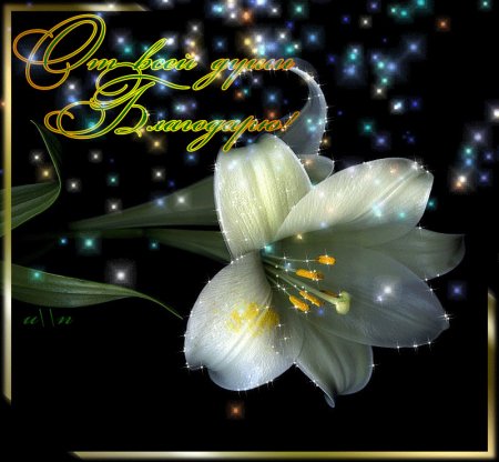 Благодарю от всей души