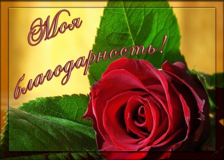 Взаимно благодарю от всей души