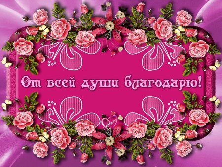Благодарю от всей души