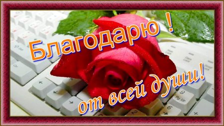 Спасибо от всей души
