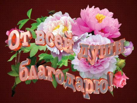 Спасибо от души