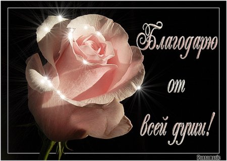 Открытка благодарю от всей души