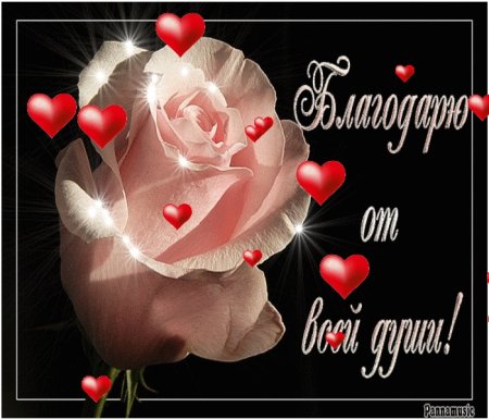 Спасибо от души