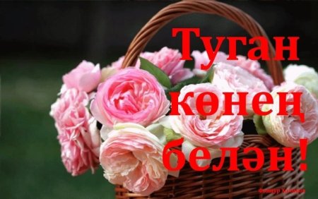 Альбина туган конен