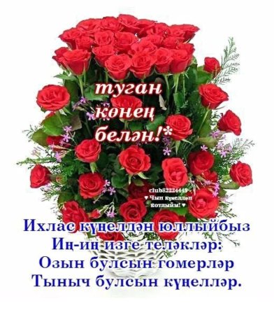 Раиса апа туган конен