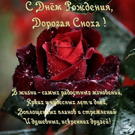 Поздравления с днём рождения невестке