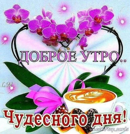 Доброе утро чудесного дня