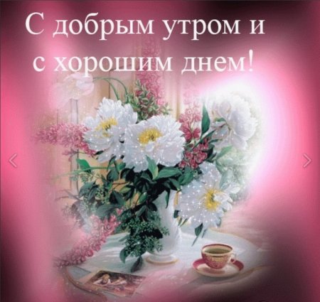 Пожелания с добрым утром и хорошего дня