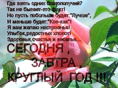 Пожелания здоровья и благополучия
