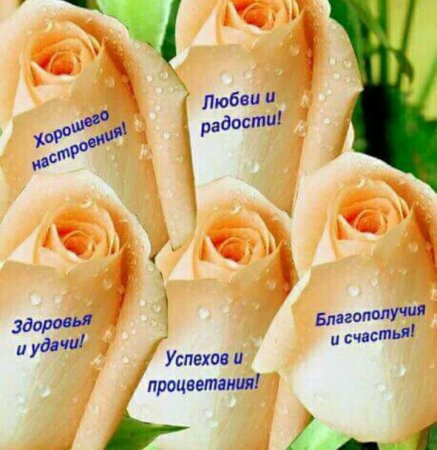Здоровья счастья благополучия