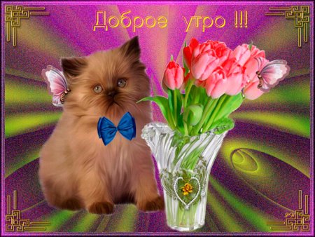 Доброе утро внученька