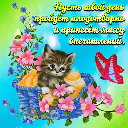 Добрые пожелания
