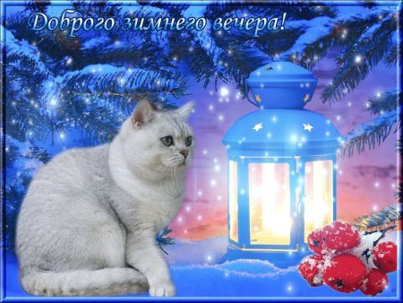 Доброго зимннговечера