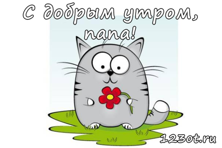 Доброе утро апа