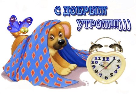 С добрым утром папа