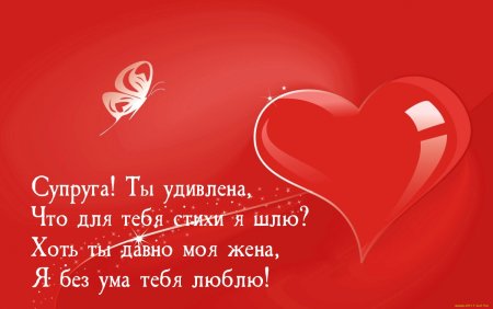 Я тебя люблю жена