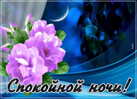 Красивые букеты спокойной ночи