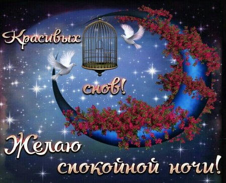 Доброй ночи красивые необычные