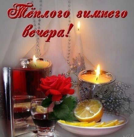 Уютного вечера и доброй ночи