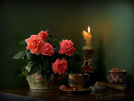 Добрый вечер