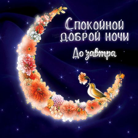 Спокойной ночи до завтра