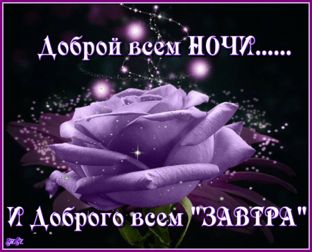 Спокойной субботней ночи