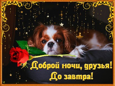 Спокойной ночи до завтра
