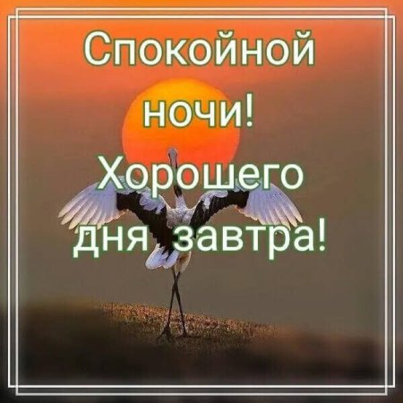Доброй вам ночи и светлого завтра