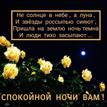Доброй ночи до завтра