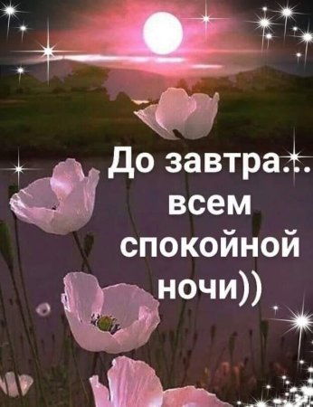 Спокойной ночи до завтра